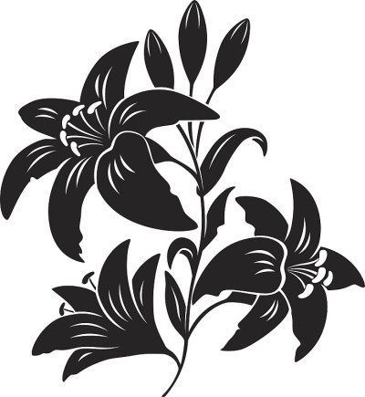 莉莉花