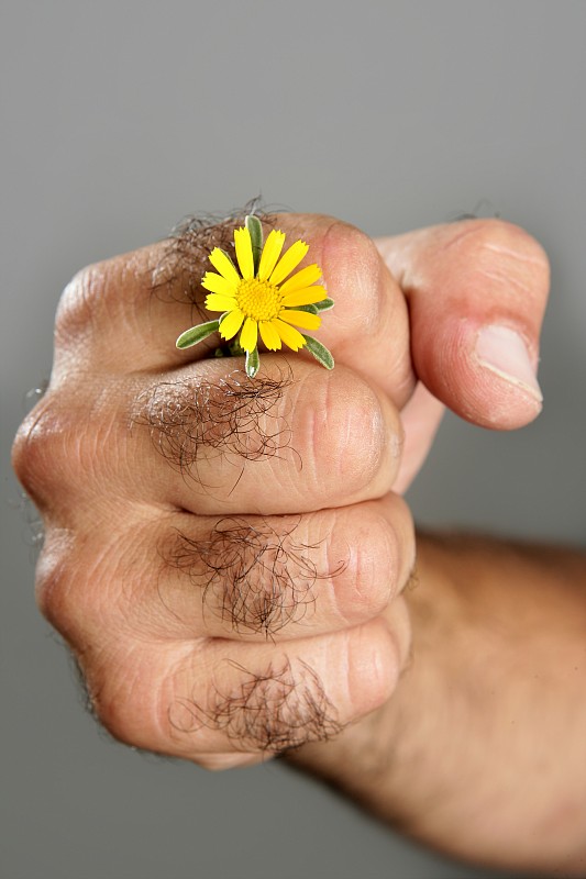 多毛男人手与花的概念与对比