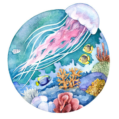 水彩珊瑚礁，鱼，水母。水下插图在白色背景圆圈