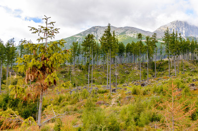 美丽的塔特拉山脉(Vysoke Tatry)是沿着斯洛伐克和波兰边界的山脉