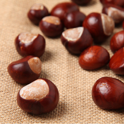有黑森背景的Conkers