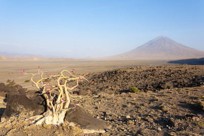 Natron湖地区景观，坦桑尼亚，非洲。伦盖火山