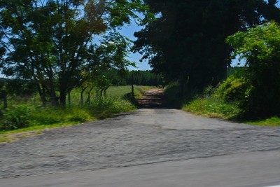 路上的风景