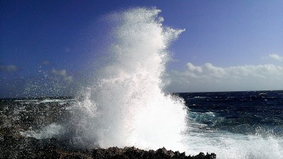 阿鲁巴岛多岩石的海岸线