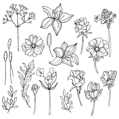 花园的花。矢量插图。