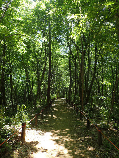 Noyamakita-Rokudoyama公园- Musashimurayama,东京