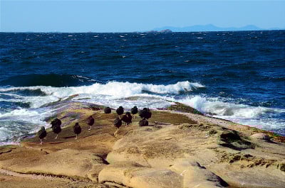 岩石形成和蓝色海浪