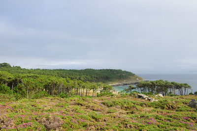 海洋海岸