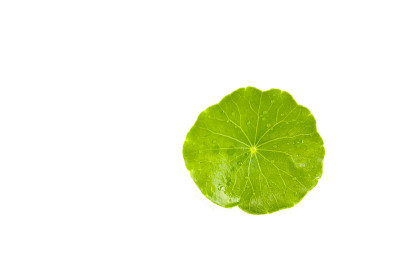我的天啊