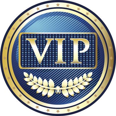 VIP 蓝色标签