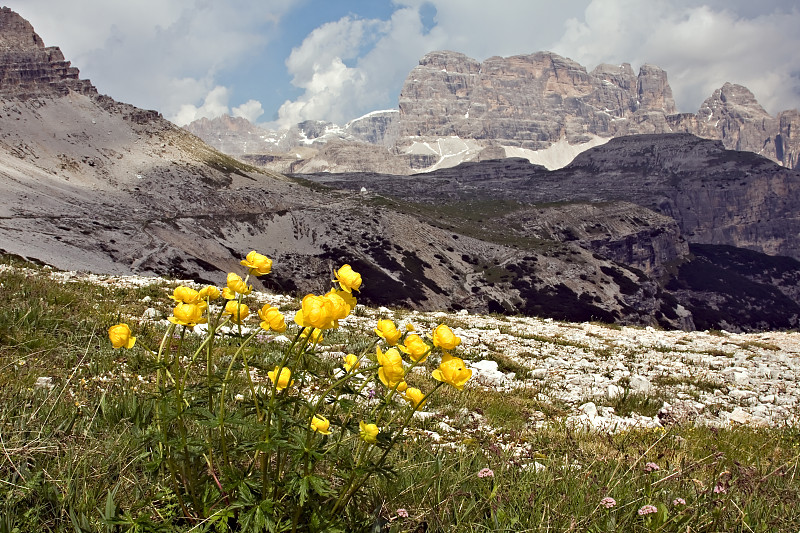 靠近“Tre Cime di Lavaredo”的全景