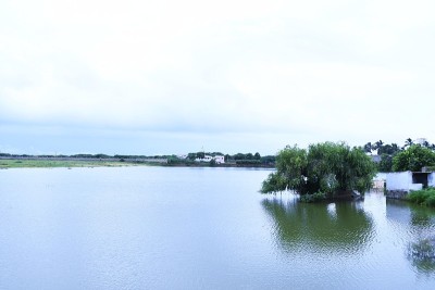 古吉拉特邦库奇的印度湖，碧水