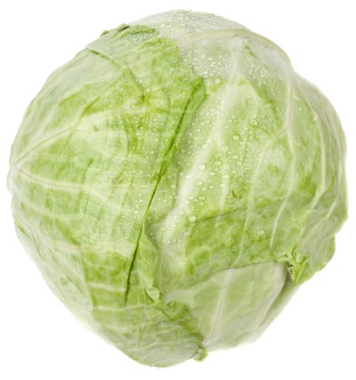 白底白菜
