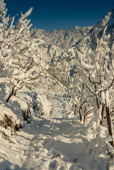 雪山覆盖的道路-雄伟的冬季景观在喜马拉雅山