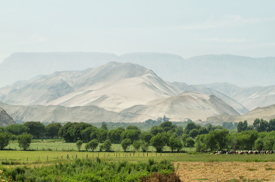 Lluta山谷景观
