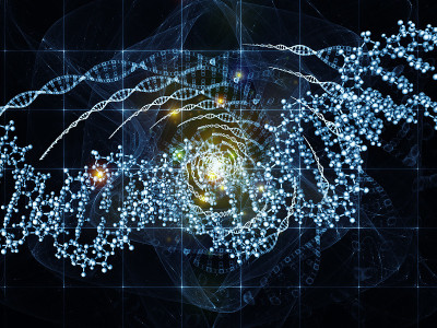 人造DNA