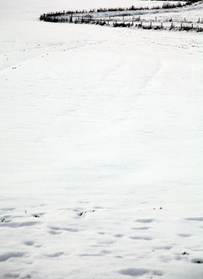 冬日雪地