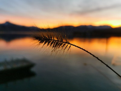 阿尔卑斯山湖边的日落