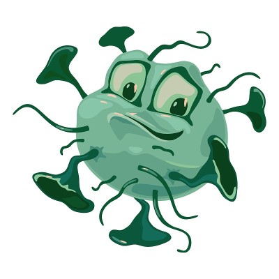 Neisseria gonorrhoeae or gonococcus is a species o