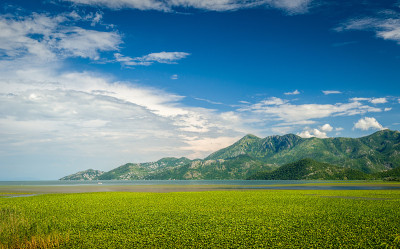 Skadar湖景观