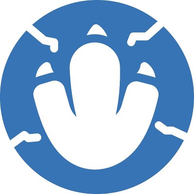脚