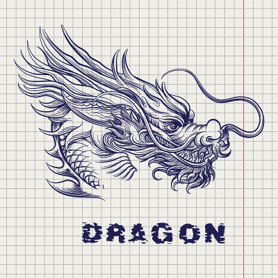 在笔记本上的龙首素描