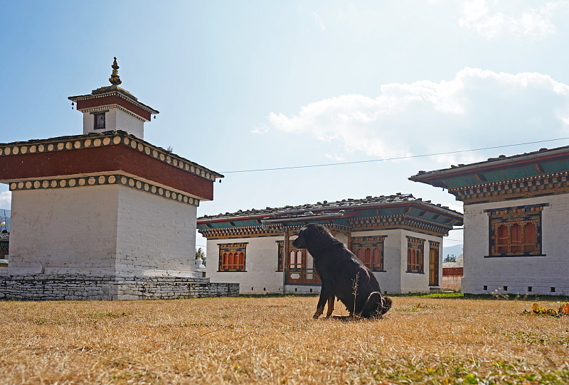 布姆唐宗的庭院，传统建筑和一只黑狗