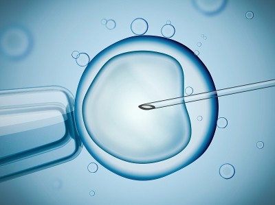 体外受精(IVF)的实验室显微镜研究。