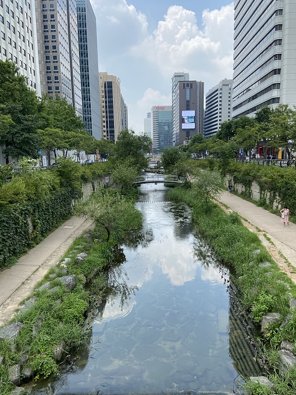 城市里的小溪