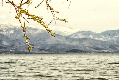 湖Prespa、马其顿