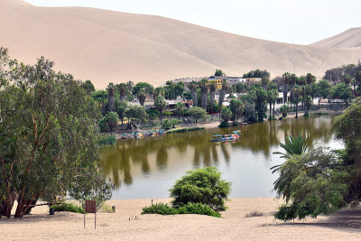 风景在Huacachina