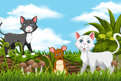 猫和老鼠在丛林的场景