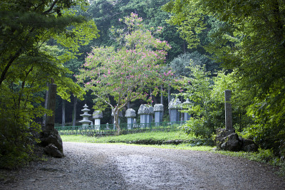 seonamsa庙,