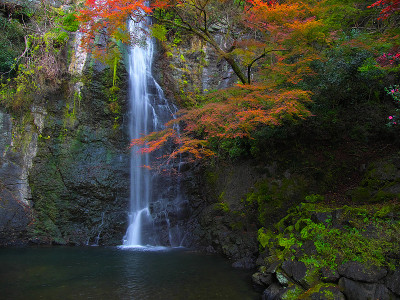 日本landscape485