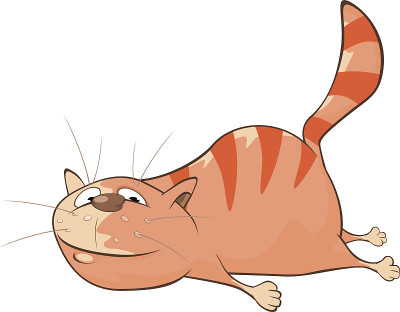 可爱的猫插图。卡通人物