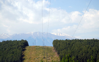 森林里的小路