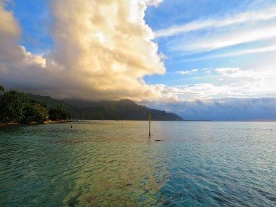 莫雷亚塔希提岛