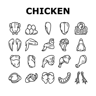 鸡动物农场生肉食品图标设置向量