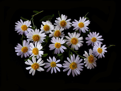 花