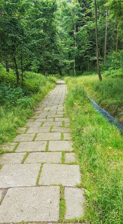 自然公园巷