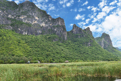 石灰岩山上的湿地上长满了绿色植物