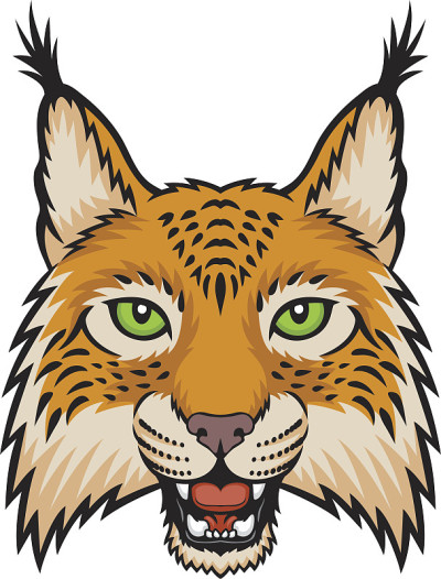 猞猁