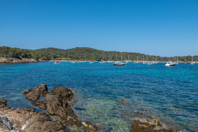 夏天发现波克雷勒斯岛。荒凉的海滩和松树在法国里维埃拉的景观