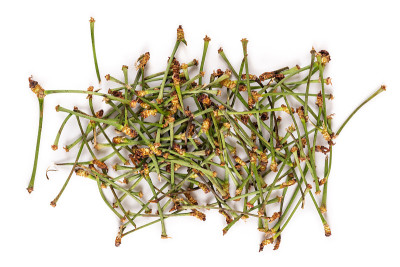 樱桃茎干