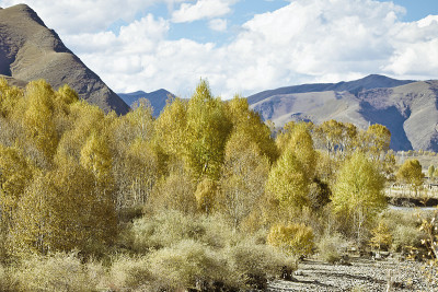 late autumn