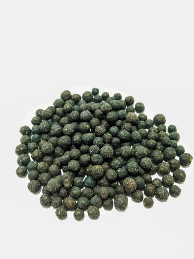 一张黑芥末的照片