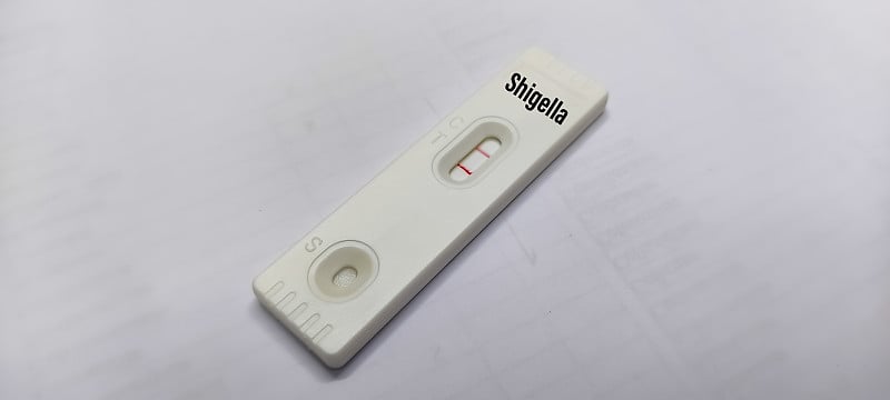 志贺氏菌感染快速试验盒(志贺氏菌病)