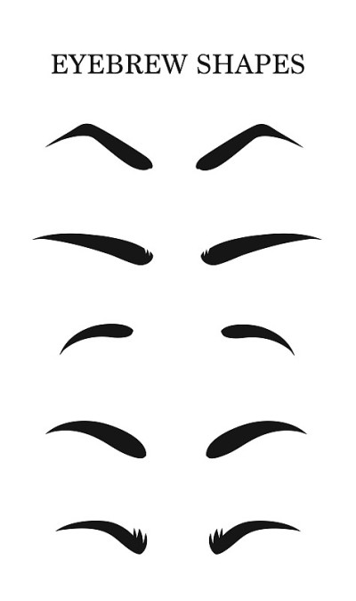 眉毛的形状。各种类型的眉毛。化妆技巧。女性修眉
