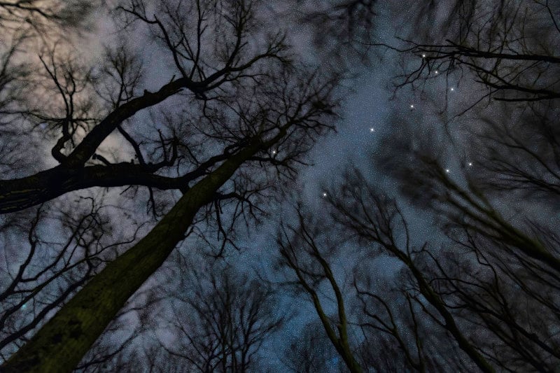 麒麟星座，夜空，星群，深空，独角兽星座