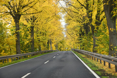 秋天的联邦公路